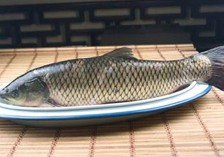 黑魚(yú)可以清蒸嗎？黑魚(yú)蒸多久？