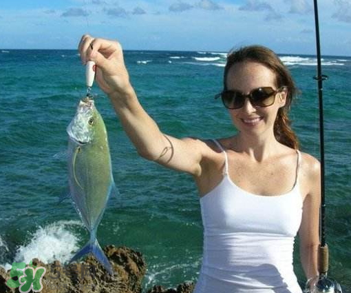 9月份釣什么魚？9月份釣草魚嗎？