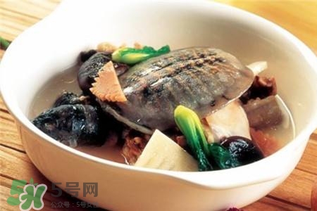 產(chǎn)婦能吃甲魚嗎？產(chǎn)婦能吃甲魚湯嗎？