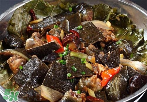 甲魚湯下奶嗎？下奶的食物有哪些？