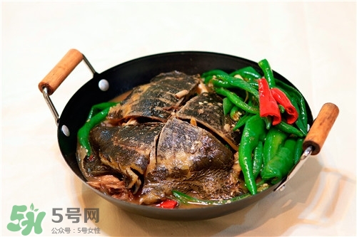 甲魚湯是涼性的嗎？甲魚湯的禁忌人群