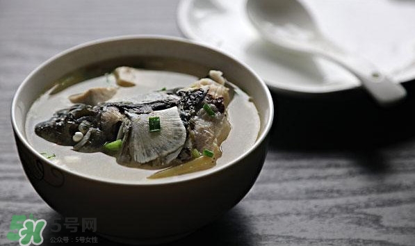 孕婦鯽魚(yú)湯可以放姜嗎？孕婦鯽魚(yú)湯能放料酒嗎？