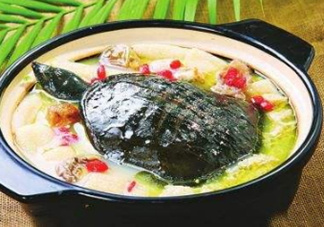 甲魚(yú)湯下奶嗎？下奶的食物有哪些？
