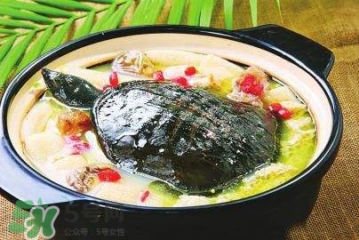 甲魚湯下奶嗎？下奶的食物有哪些？