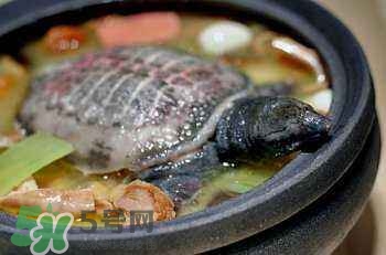 產(chǎn)婦能吃甲魚嗎？產(chǎn)婦能吃甲魚湯嗎？