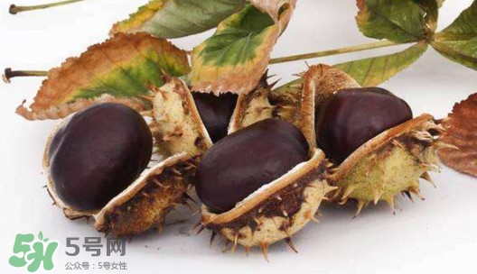 板栗殼怎么好剝？怎樣剝板栗殼最快