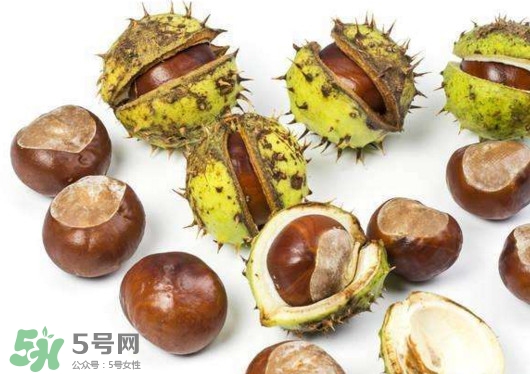 板栗殼怎么好剝？怎樣剝板栗殼最快
