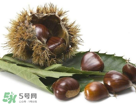 板栗殼里面的皮能吃嗎？板栗殼有什么作用