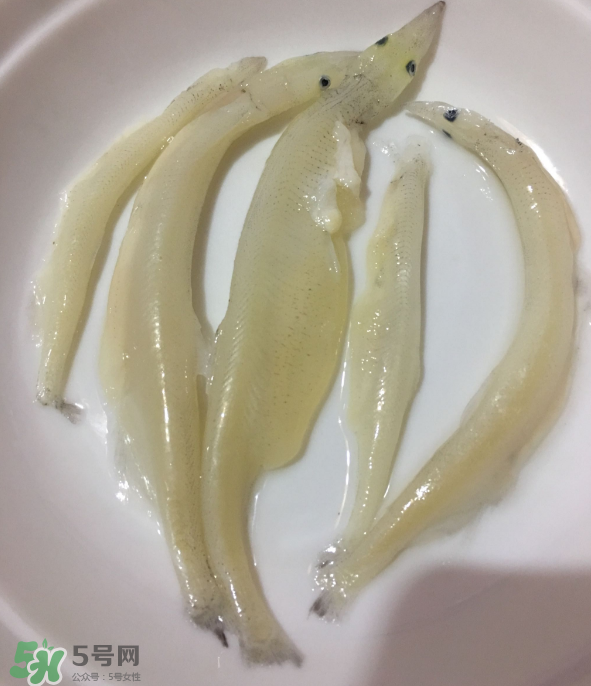 大銀魚怎么做好吃？大銀魚的做法大全