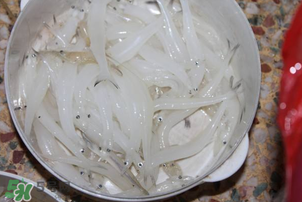 大銀魚多少錢一斤？大銀魚怎么洗？