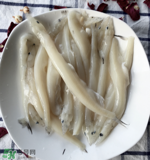 大銀魚多少錢一斤？大銀魚怎么洗？