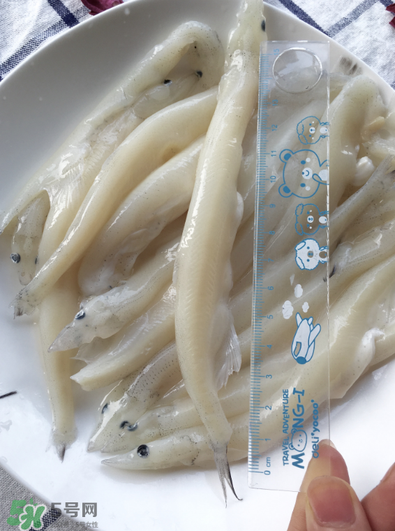 大銀魚多少錢一斤？大銀魚怎么洗？