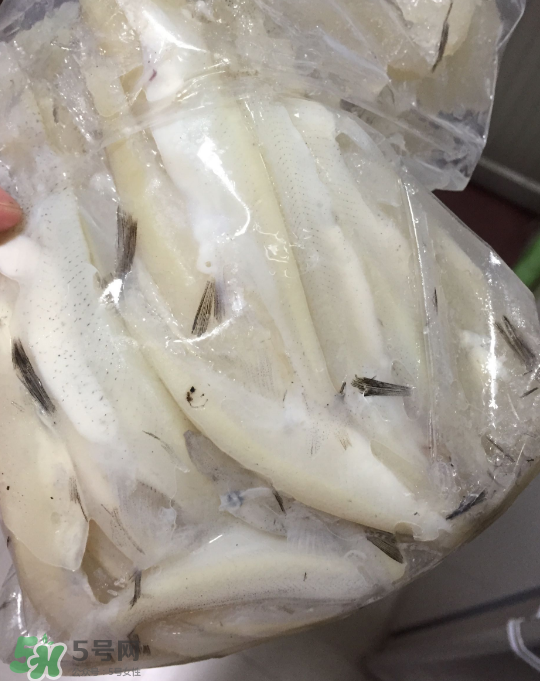 銀魚(yú)可以煲粥嗎？銀魚(yú)可以包餃子嗎？