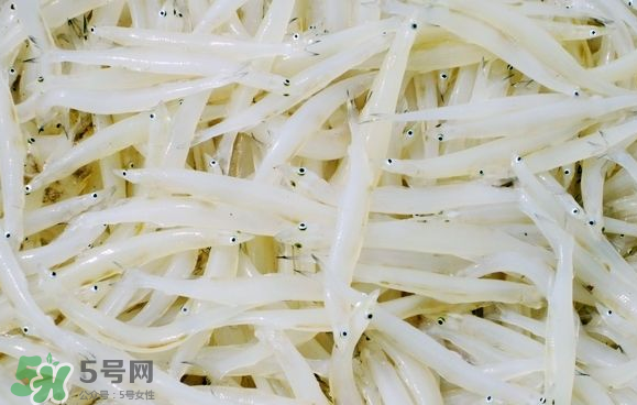 銀魚(yú)可以煲粥嗎？銀魚(yú)可以包餃子嗎？