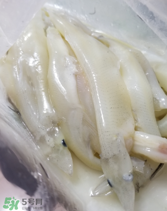 銀魚怎么保存？銀魚可以放在冰箱冷凍保存嗎？