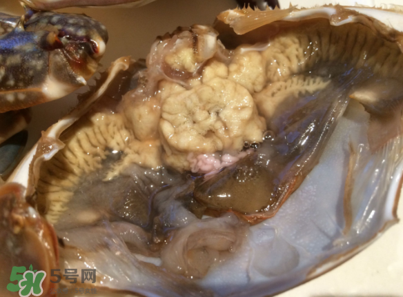 梭子蟹是野生的嗎？梭子蟹養(yǎng)的還是野生的？