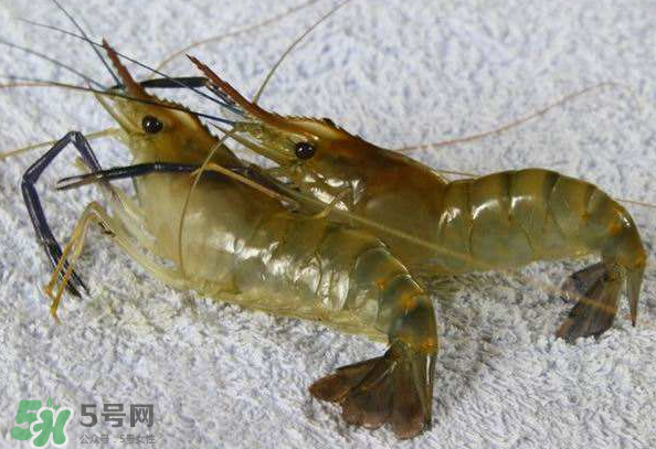 河蝦是酸性還是堿性？河蝦是涼性還是熱性？