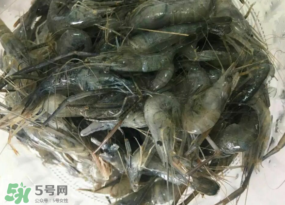 河蝦是基圍蝦嗎？河蝦是辛辣食物嗎？