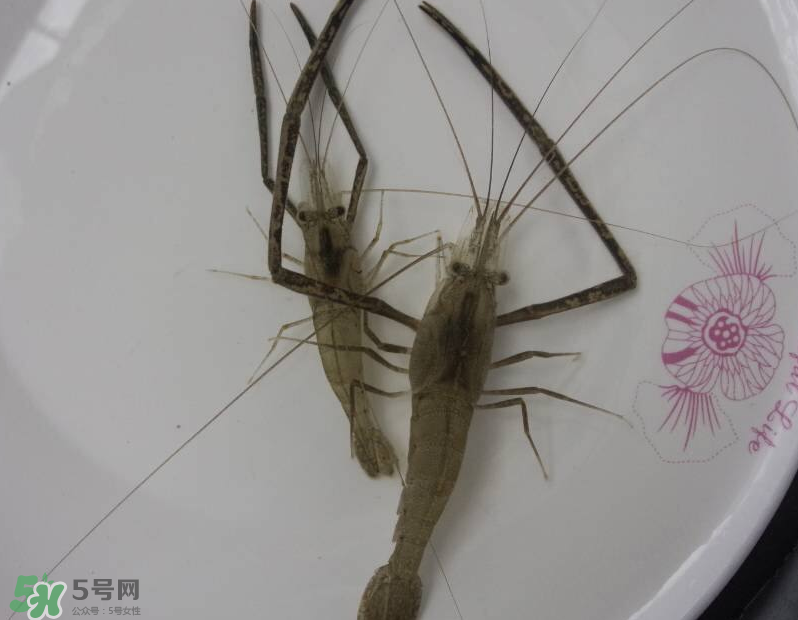 河蝦可以和牛奶同食嗎？河蝦和牛奶能一起吃嗎？