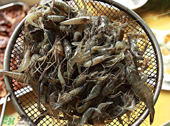 河蝦可以吃頭嗎？蝦頭到底能不能吃？