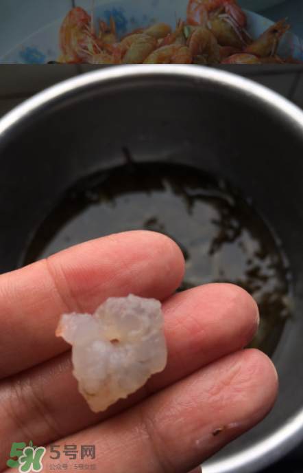 河蝦可以放冰箱嗎？河蝦在冰箱能放幾天？