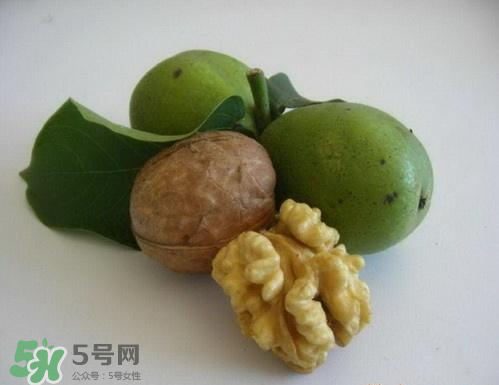 鮮核桃和干核桃哪個(gè)更有營養(yǎng)？鮮核桃和干核桃哪個(gè)營養(yǎng)價(jià)值高？