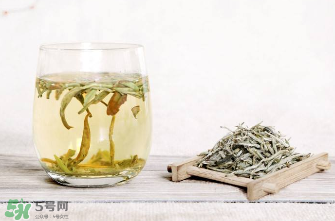 白毫銀針屬于綠茶嗎？白毫銀針是什么茶？