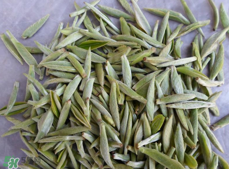白毫銀針屬于綠茶嗎？白毫銀針是什么茶？