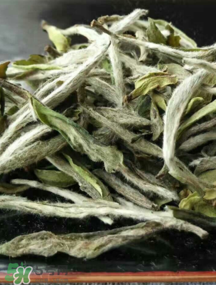 白毫銀針的產地在哪個?。堪缀零y針是哪里產的？