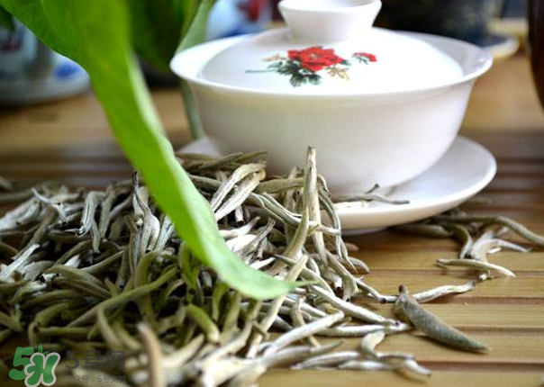 白茶需要洗茶嗎？白茶是洗還是不洗？