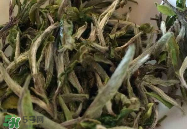 白茶需要洗茶嗎？白茶是洗還是不洗？