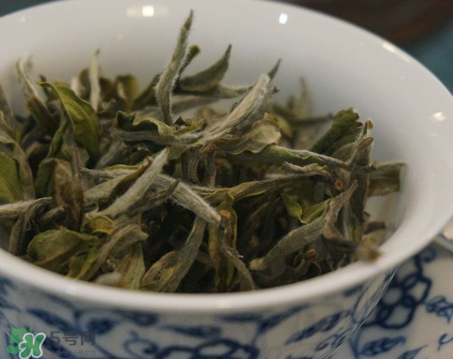 白茶需要洗茶嗎？白茶是洗還是不洗？
