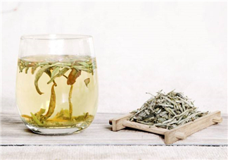 白毫銀針屬于綠茶嗎？白毫銀針是什么茶？