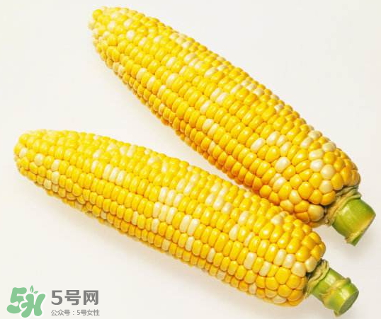 九月份能種玉米嗎？玉米九月份還可以種嗎？
