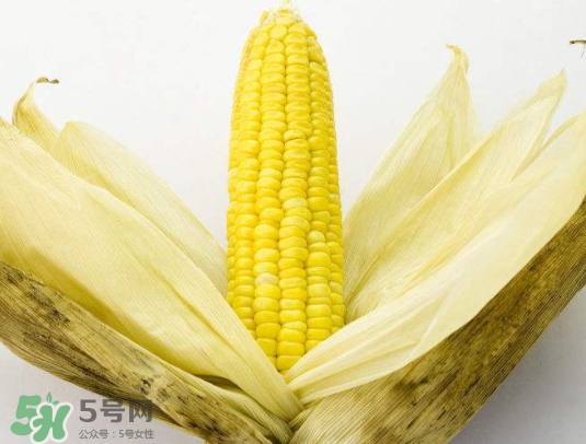 九月份能種玉米嗎？玉米九月份還可以種嗎？