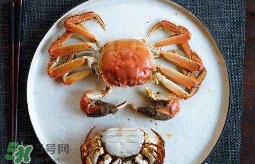 啤酒蒸大閘蟹好吃嗎？啤酒蒸大閘蟹怎么吃？
