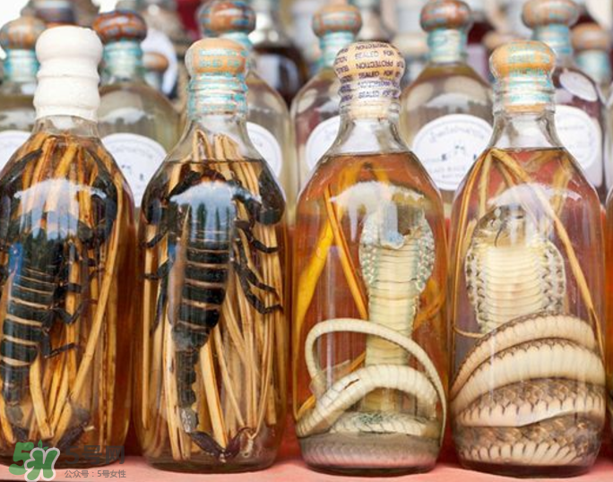 毒蛇泡酒有毒嗎？毒蛇泡酒能喝嗎？