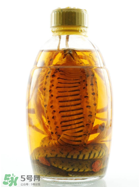毒蛇泡酒有毒嗎？毒蛇泡酒能喝嗎？