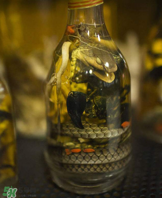 毒蛇泡酒有毒嗎？毒蛇泡酒能喝嗎？
