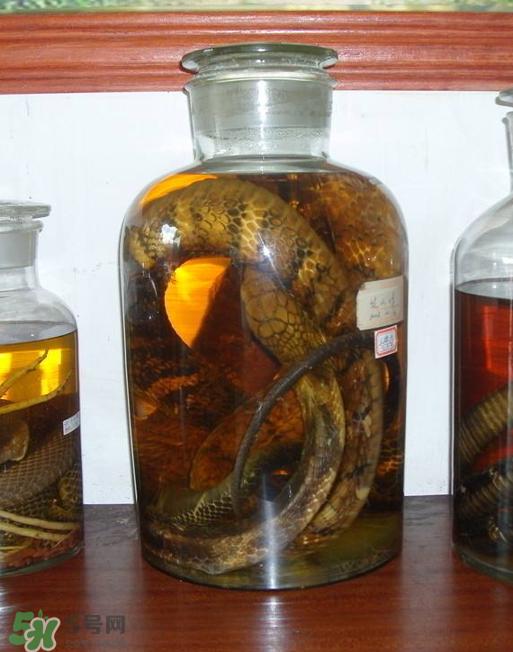 毒蛇泡酒多久才能喝？毒蛇泡酒多久才會(huì)死？