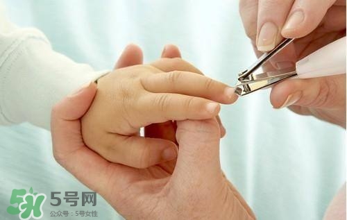 寶寶多大可以剪指甲？寶寶剪指甲的正確方法