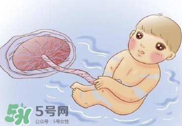 如何預(yù)防羊水早破？羊水早破能保胎多久？