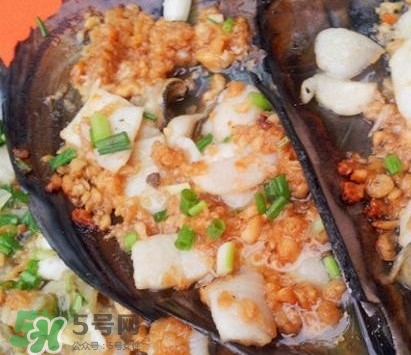 帶子是什么海鮮？帶子是什么東西