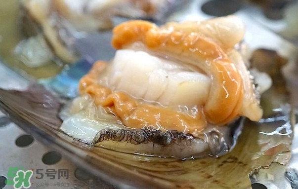 帶子哪里不能吃？帶子有什么營養(yǎng)價值