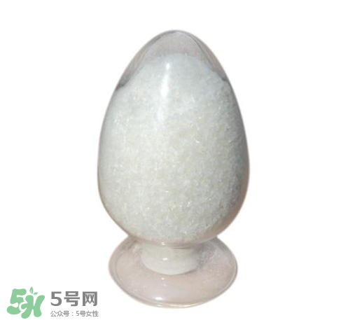 味精和雞精哪個更健康？味精和雞精哪個對身體危害大？