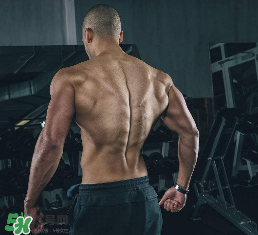 龍門架怎么練背？龍門架練背動作推薦