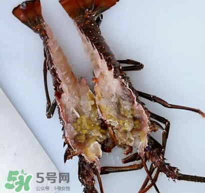 波士頓龍蝦產(chǎn)自波士頓嗎？波士頓龍蝦是哪里的