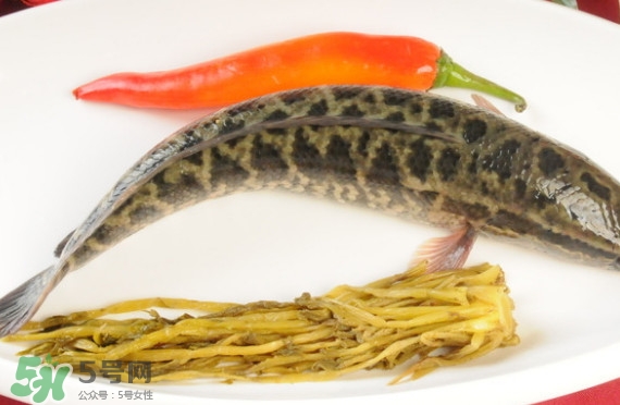 黑魚和草魚哪個(gè)好吃？黑魚不適合什么人吃