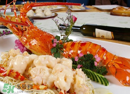 4æ–¤çš„æ³¢å£«é “é¾è¦å¤šå°‘éŒ¢ï¼Ÿæ³¢å£«é “é¾è¦æ€Žä¹ˆè™•ç†