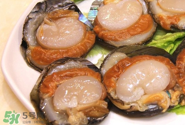 帶子是什么海鮮？帶子是什么東西